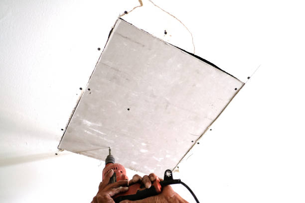 The Role of  Expert  Examination in Drywall  Style in Colorado